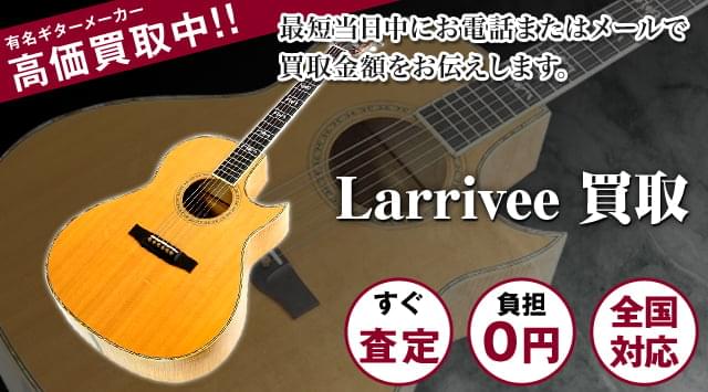 Larrivee(ラリビー) 買取